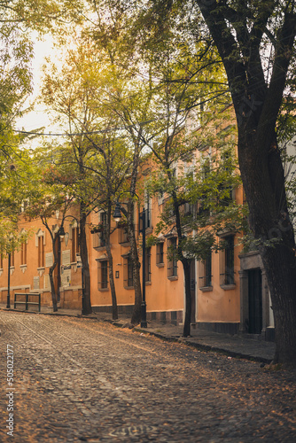 Colorful street of Coyoacan in Mexico City at sunset time background