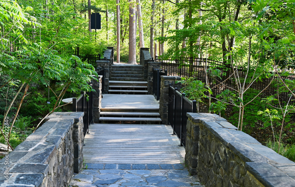Obraz premium Cement Walk and Bridge with Metal Rails through Forest