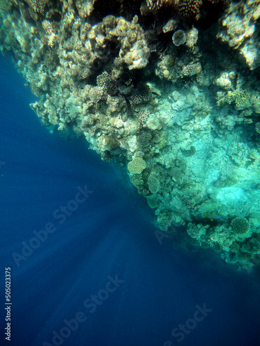 A colorful landscape with coral reef in Maldives, Ukulhas. High quality photo.