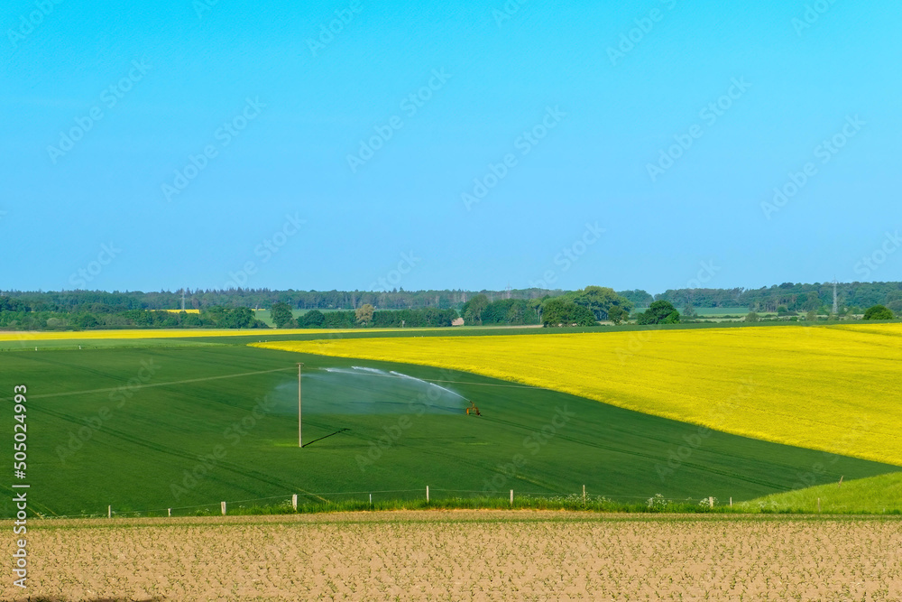 Fototapeta premium Irrigation system in function watering agricultural plants