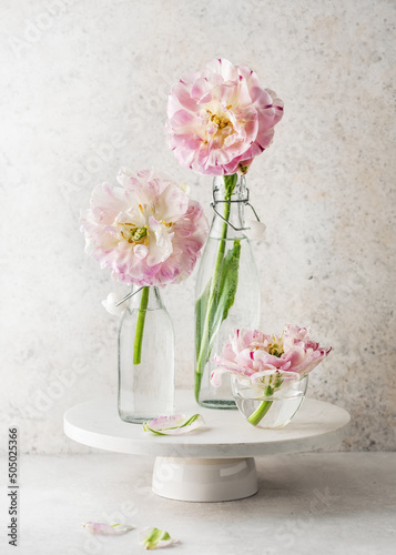 Beautiful bouquet of white, rose, green filled tulip flowers in glass vase and bottles. (Tulipa Danceline) Home or garden decoration. Copy space.