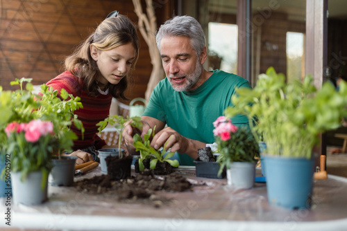 Teenage daughter helping father to plant flowers, home gardening concept © Halfpoint