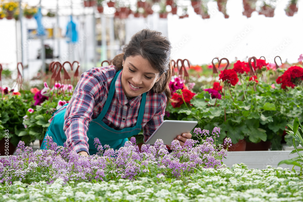 Female florist using tablet for monitoring plants in nursery garden. Female florist using tablet for monitoring plants in nursery garden.