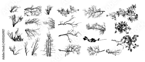 Tree branches set. Vector illustration