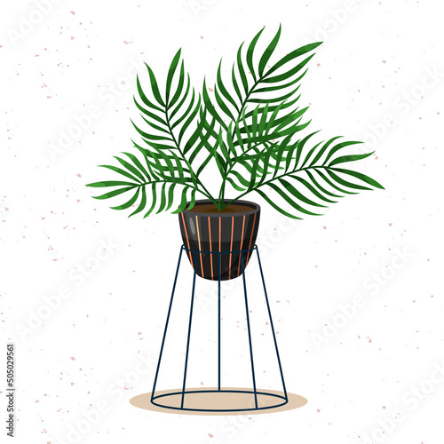 Plant illustration. Potted house plant vector.