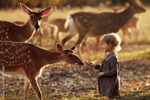 Photography Little girl feeding a deer from her hands