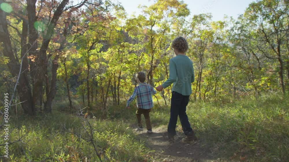 Two boys walk along mountain trail with walking sticks in afternoon golden hour Two boys walk along mountain trail with walking sticks in afternoon golden hour