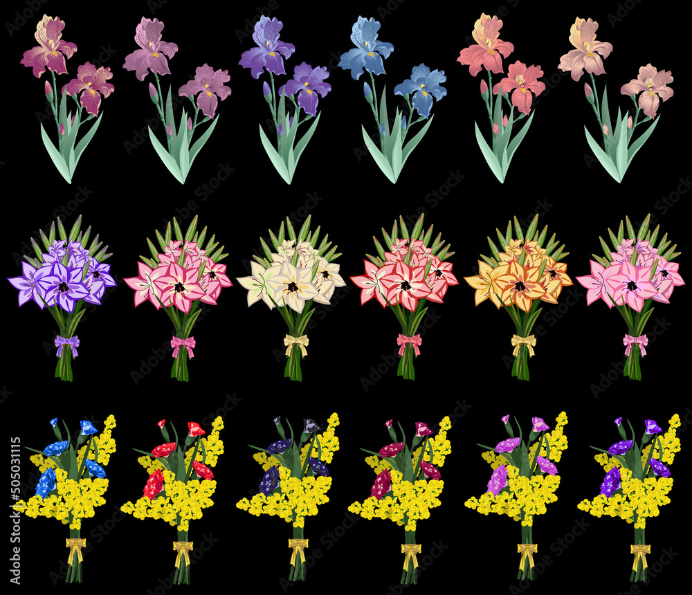 Bouquets set of lily, iris mimosa carnation flowers with colorful bows on black background. Vector illustration. Bouquets set of lily, iris mimosa carnation flowers with colorful bows on black background. Vector illustration.