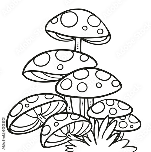 Large fly agaric mycelium linear drawing for coloring isolated on white background