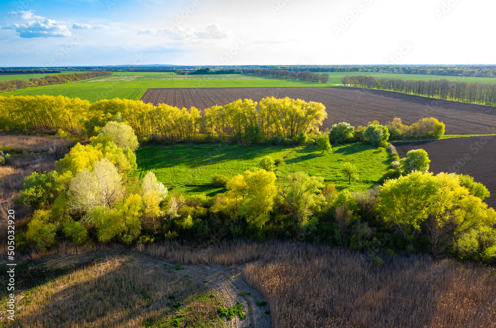 Fototapeta premium Aerial view to spring green fields and meadows