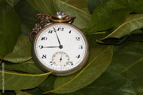 old pocket watch in leaf, creative natural design, old fashion vintage style photo