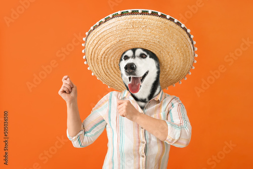 Funny dancing Husky dog wit...