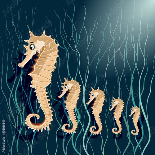 Vector illustration with Seahorses  underwater and algae on a background in flat technique 