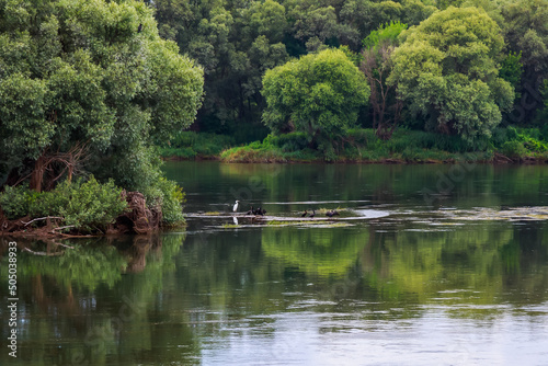 Wide river. Eastern european background with copy space for text or lettering. Ideal for fishing and rafting. photo
