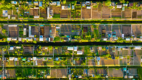 Aerial view of vegetable gardens. Netherlands. Canals with water for agricult...