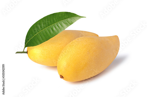 Ripe yellow mango with green leaves isolated on white background.