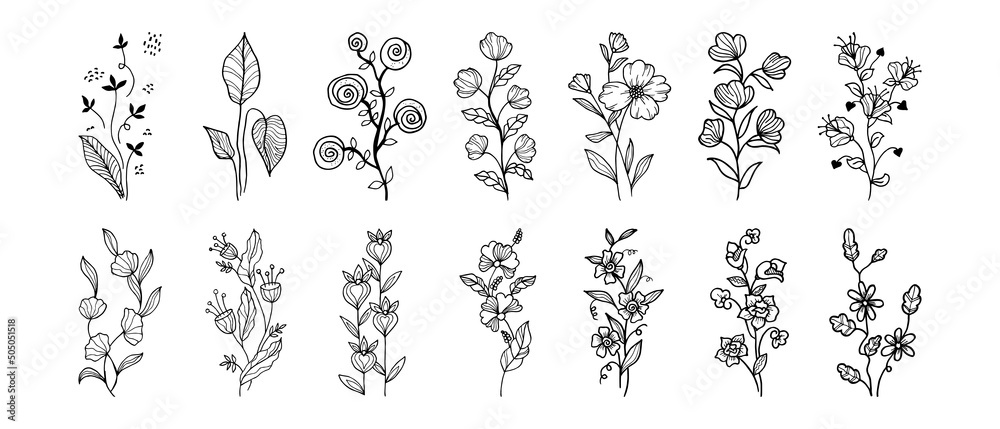 Hand drawn vector design floral elements. Vector illustration. Hand drawn vector design floral elements. Vector illustration.