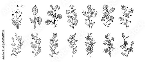 Hand drawn vector design floral elements. Vector illustration.