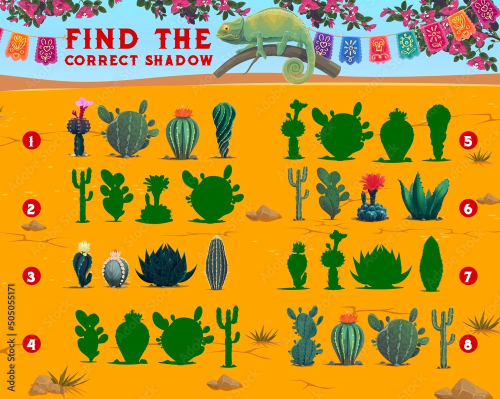 Find the correct shadow of mexican cactus succulents. Shadow compare educational game, children intelligence playing activity or riddle. Kids logical quiz, puzzle vector page with mexican flora cacti - obrazy, fototapety, plakaty 