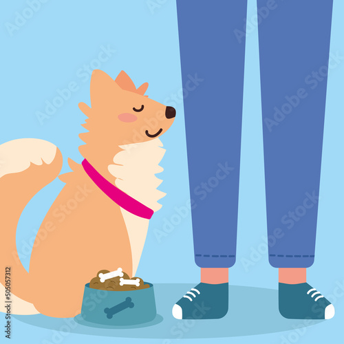 owner and dog