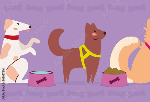 pets dogs and food