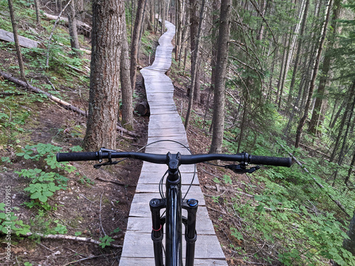 Mountain Biking Handlebar Point of View Shot of Trail Ride on Wooden Bridge through Green Coniferous Forest.