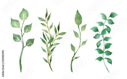 Set of watercolor green leaf isolated on white background.