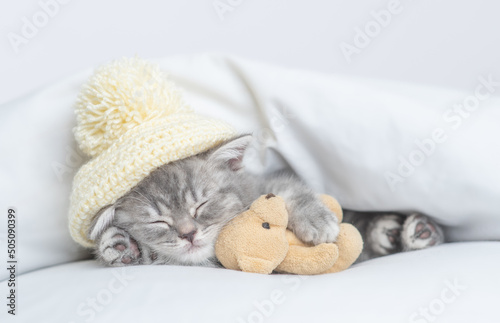 Cozy tiny kitten wearing warm hat sleeps with favorite toy bear under warm white blanket on a bed at home