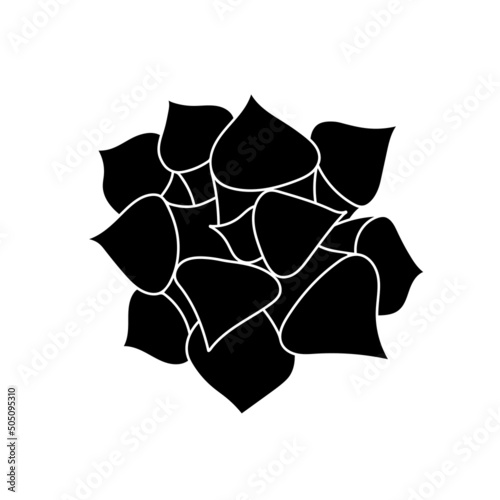 Succulent Haworthia in simple style, vector illustration. Desert flower for print and design. Silhouette mexican plant, graphic isolated element on a white background. Houseplant for decor interior