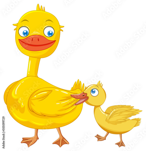 Mother duck and duckling on white background