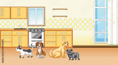 Set of different domestic animals in kitchen
