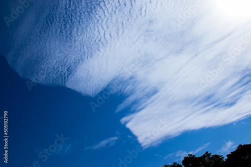 Fototapeta Naklejka Na Ścianę i Meble -  Rare clouds in the blue sky.