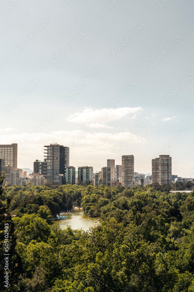 Woods and skyline view of Mexico City, cityscape in daylight at the sunset, background for business or travel concept