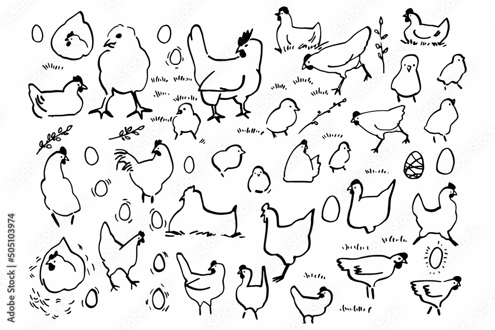 Set of cute chicken hen doodle drawing for yours design and print.