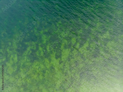 Aerial top down view of green water texture of river estuary with dirty greenish water, low water depth and green patches of seaweed