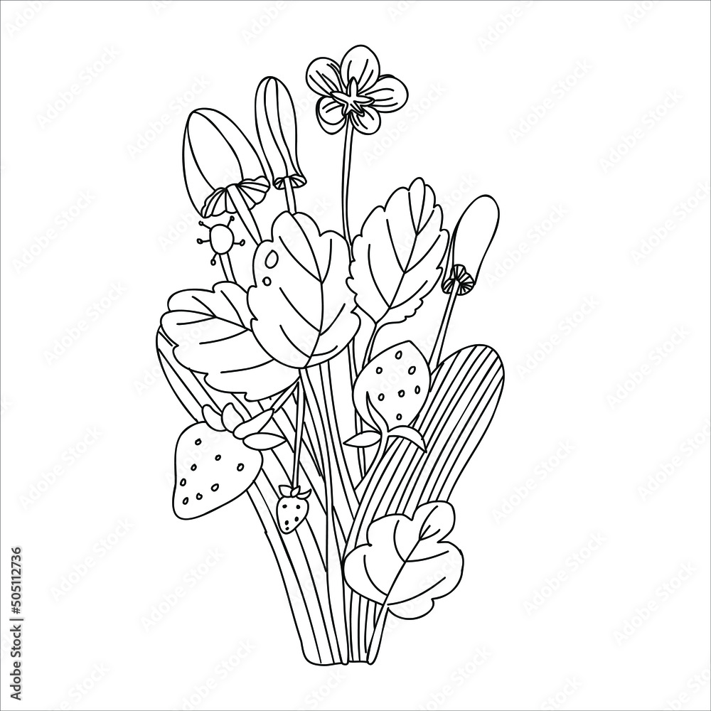 Vector bunch of strawberry flowers and leaves, mushrooms.Can be used to develop the imagination