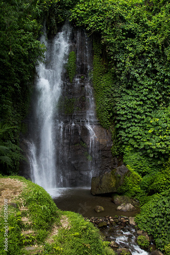 Wild tropical rainforest and beautiful high powerful waterfall with lush green foliage  moss  palm trees  shining water drops in sunbeams  Bali jungle  vertical. Amazing trip in Indonesian paradise.
