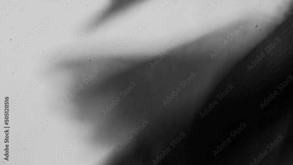 Lepidopterology. Microscopic structures of butterfly wings with multiple particles. Mimicry in nature, water-repellent properties. Hydrophobicity. 1000X magnicafication Lepidopterology. Microscopic structures of butterfly wings with multiple particles. Mimicry in nature, water-repellent properties. Hydrophobicity. 1000X magnicafication