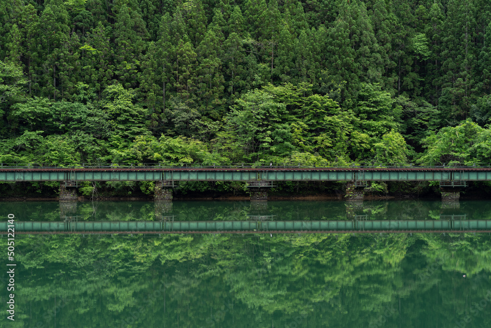 新緑と線路