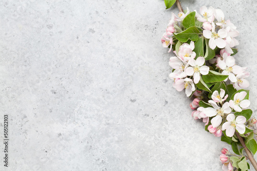 Apple blossom tree branch on stone table