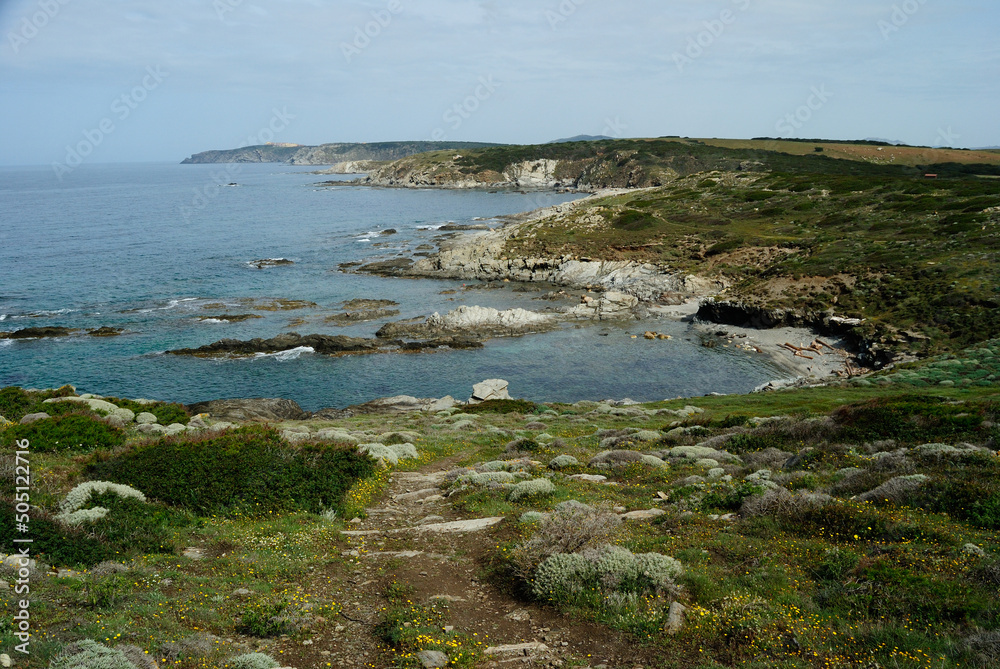 Naklejka premium La costa della Nurra in località Tanca della Marina