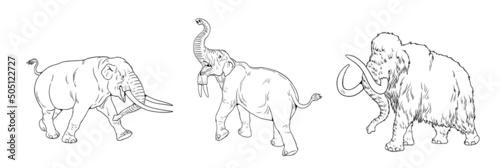 Prehistoric animals. Mammoth  mastodon and deinotherium. Coloring page with extinct Elephants.