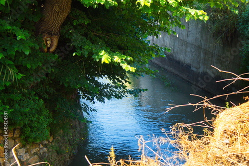 Course of the Aljufia irrigation channel that irrigates the Murcian orchard with abundant water photo