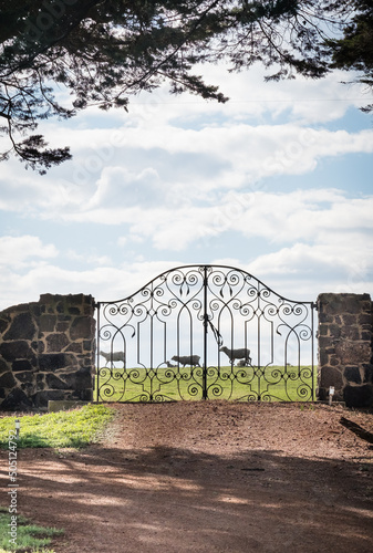 Decorative farm gates photo