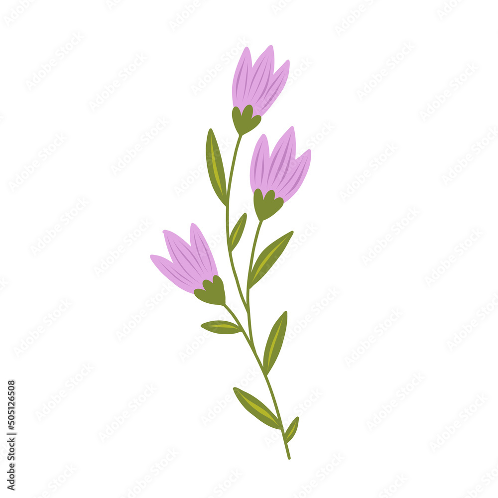 Abstract stylized vector flower. Modern floral illustration, botanical clipart.