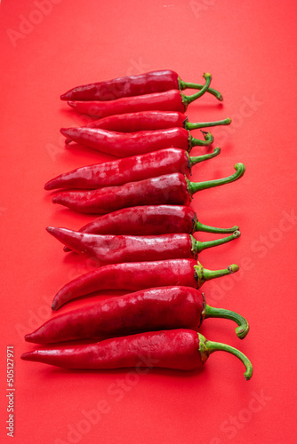 Fresh red chilli peppers lay in a row isolated on red background.