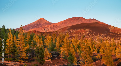 Teide National Park. Tenerife Island.