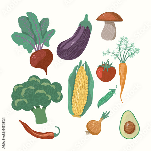 Vector collection of isolated illustration of vegetables with texture.