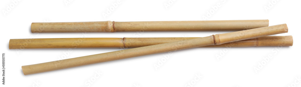 Dry bamboo sticks on white background, top view Dry bamboo sticks on white background, top view