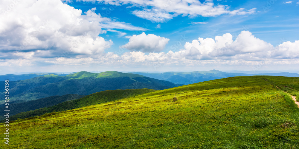 green scenery in dappled light. grassy meadows of carpathian mountain landscape on a sunny day. sky with clouds above horizon green scenery in dappled light. grassy meadows of carpathian mountain landscape on a sunny day. sky with clouds above horizon